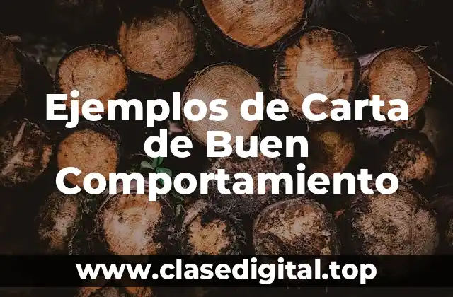 Ejemplos de Carta de Buen Comportamiento