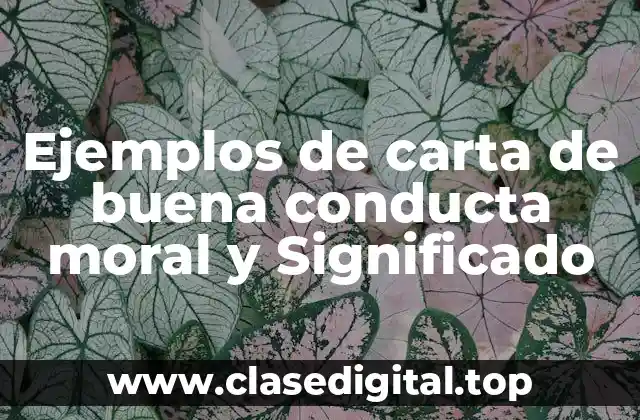Ejemplos de carta de buena conducta moral y Significado