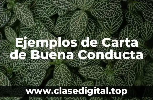 Ejemplos de Carta de Buena Conducta
