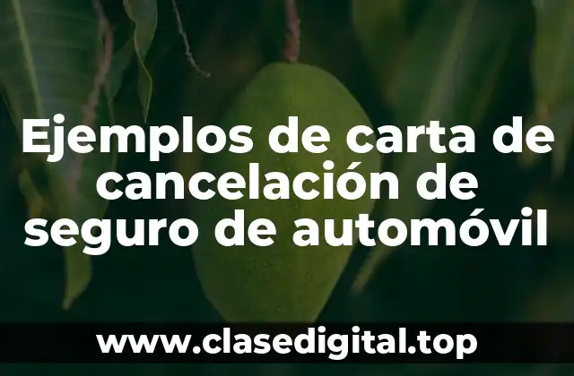 Ejemplos de carta de cancelación de seguro de automóvil