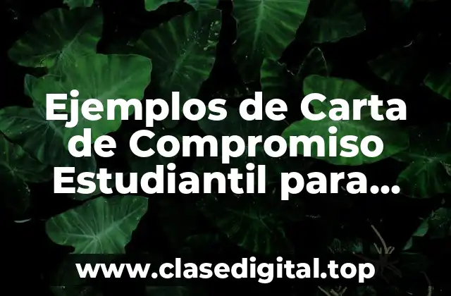 Ejemplos de Carta de Compromiso Estudiantil para Servicio Social CRESon