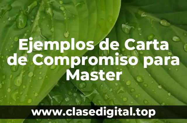 Ejemplos de Carta de Compromiso para Master