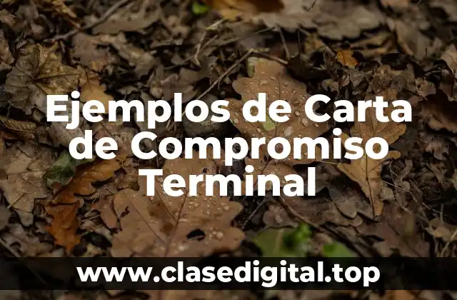 Ejemplos de Carta de Compromiso Terminal
