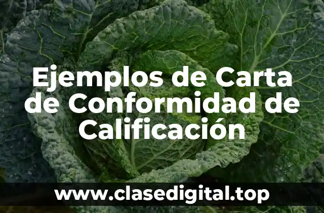 Ejemplos de Carta de Conformidad de Calificación