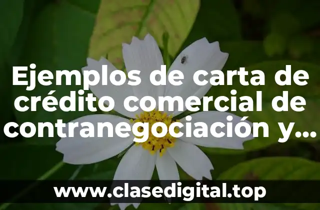 Ejemplos de carta de crédito comercial de contranegociación y Significado