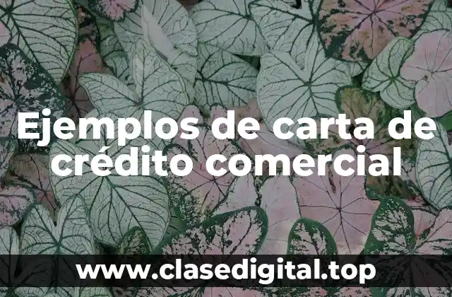 Ejemplos de carta de crédito comercial