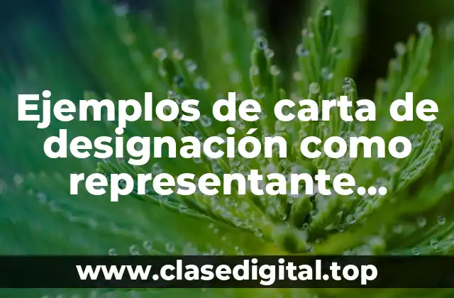 Ejemplos de carta de designación como representante autorizado y Significado