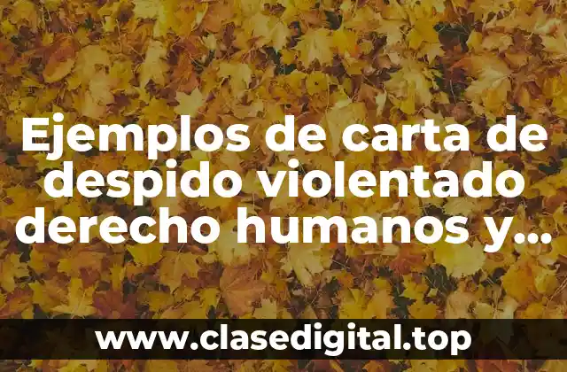 Ejemplos de carta de despido violentado derecho humanos y Significado