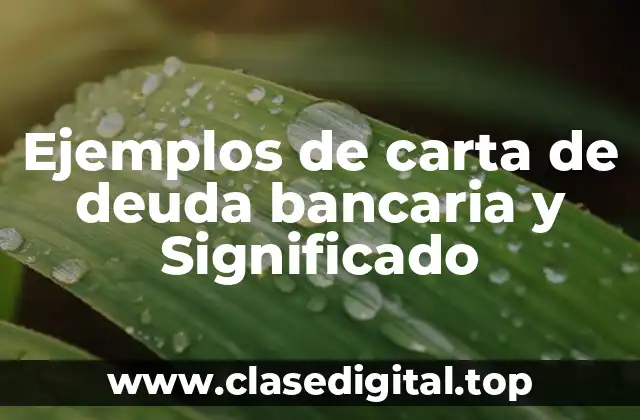 Ejemplos de carta de deuda bancaria y Significado
