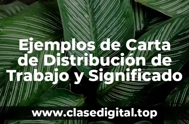 Ejemplos de Carta de Distribución de Trabajo y Significado