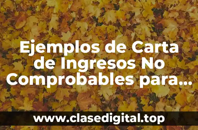 Ejemplos de Carta de Ingresos No Comprobables para Hospitales