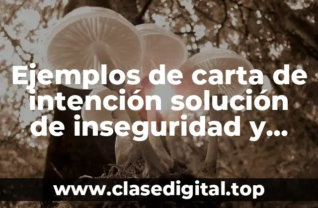 Ejemplos de carta de intención solución de inseguridad y Significado