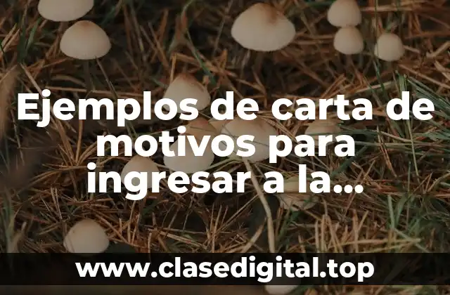 Ejemplos de carta de motivos para ingresar a la universidad