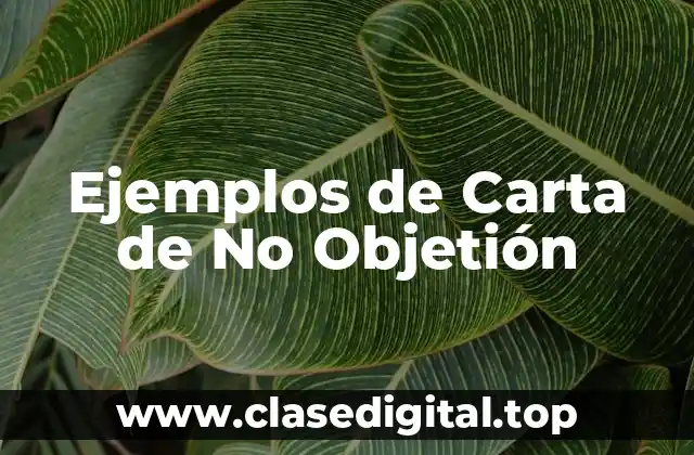 Ejemplos de Carta de No Objetión
