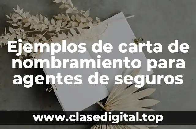 Ejemplos de carta de nombramiento para agentes de seguros