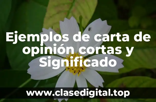 Ejemplos de carta de opinión cortas y Significado