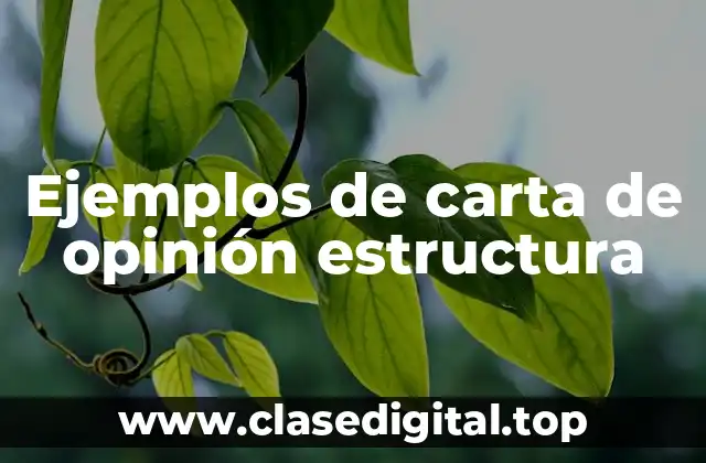 Ejemplos de carta de opinión estructura