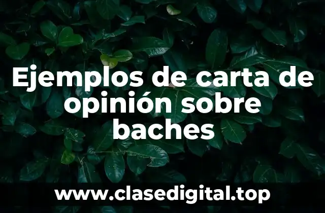 Ejemplos de carta de opinión sobre baches