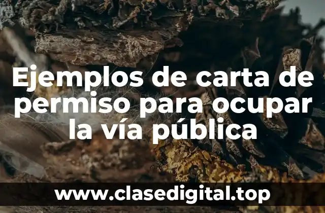 Ejemplos de carta de permiso para ocupar la vía pública