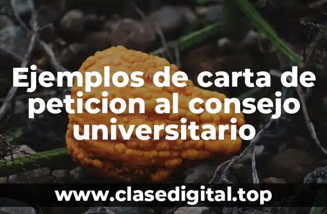 Ejemplos de carta de peticion al consejo universitario