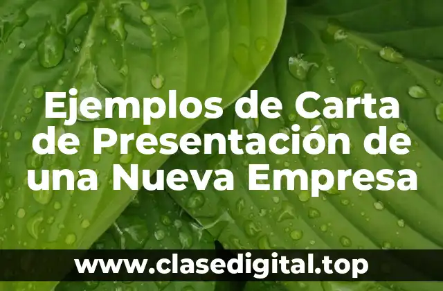 Ejemplos de Carta de Presentación de una Nueva Empresa