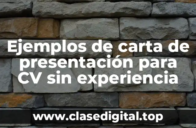 Ejemplos de carta de presentación para CV sin experiencia