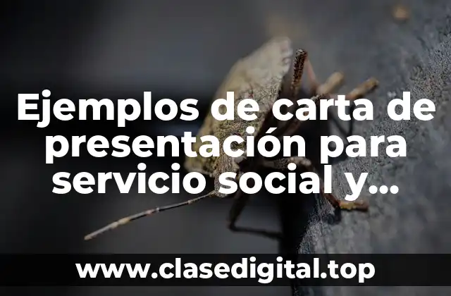Ejemplos de carta de presentación para servicio social y Significado