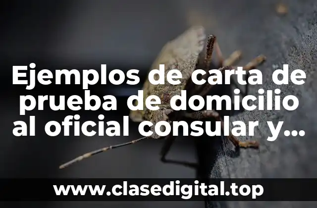 Ejemplos de carta de prueba de domicilio al oficial consular y Significado