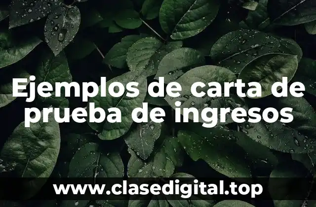 Ejemplos de carta de prueba de ingresos