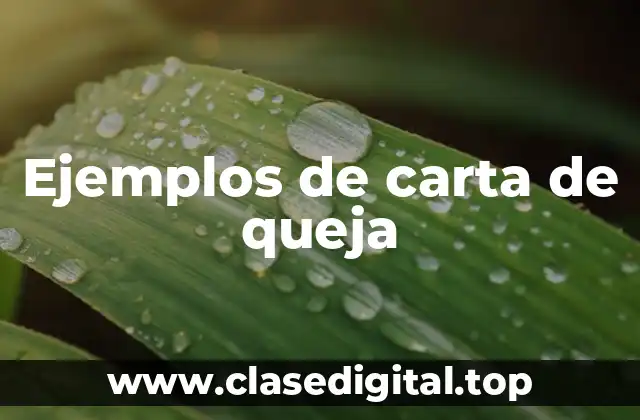 Ejemplos de carta de queja