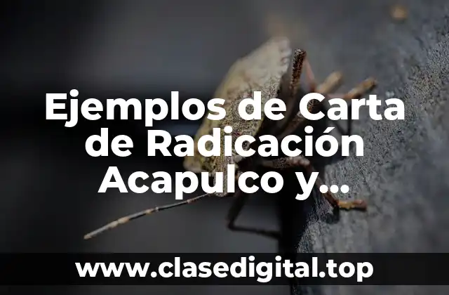 Ejemplos de Carta de Radicación Acapulco y Significado