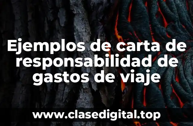 Ejemplos de carta de responsabilidad de gastos de viaje