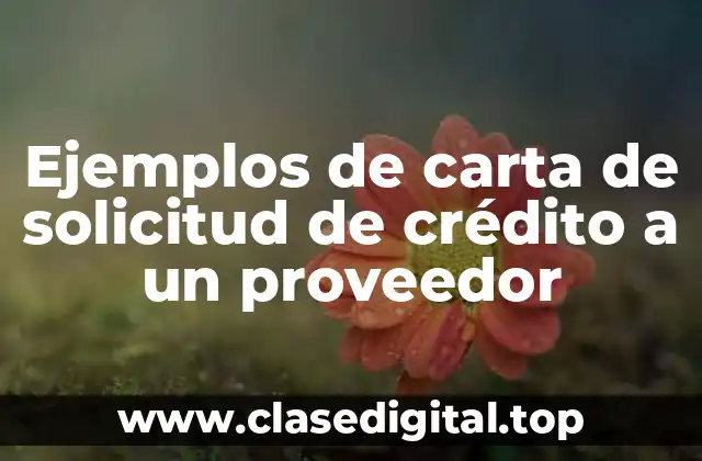 Ejemplos de carta de solicitud de crédito a un proveedor