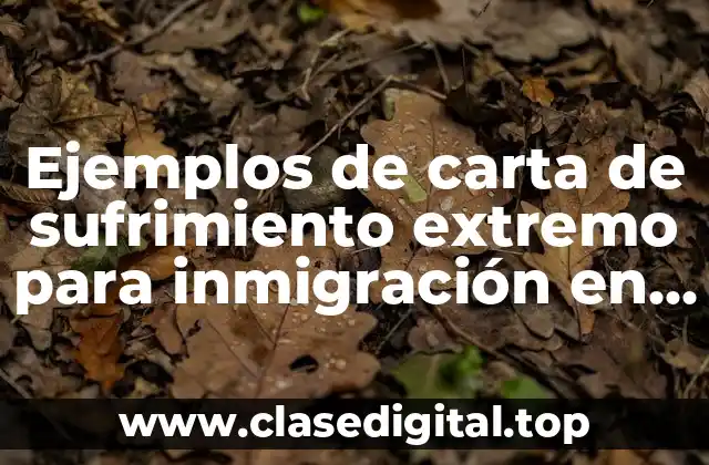 Ejemplos de carta de sufrimiento extremo para inmigración en español