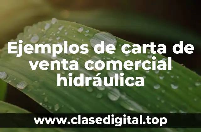 Ejemplos de carta de venta comercial hidráulica