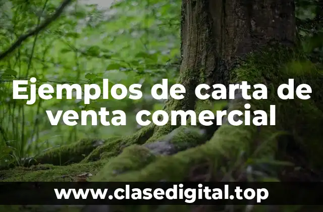 Ejemplos de carta de venta comercial