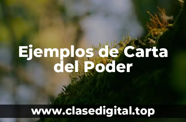 Ejemplos de Carta del Poder