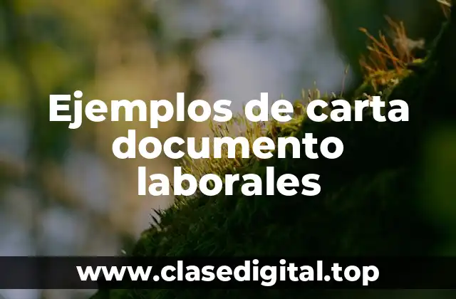 Ejemplos de carta documento laborales
