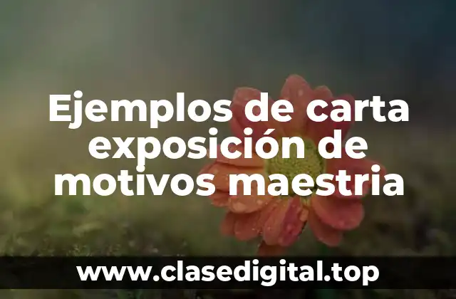 Ejemplos de carta exposición de motivos maestria