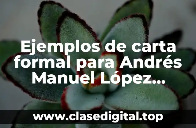 Ejemplos de carta formal para Andrés Manuel López Obrador