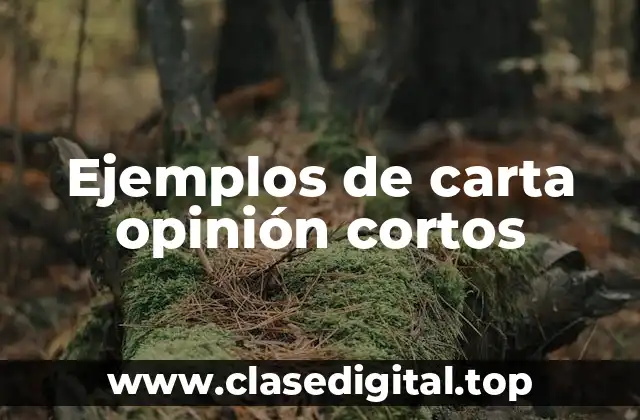 Ejemplos de carta opinión cortos
