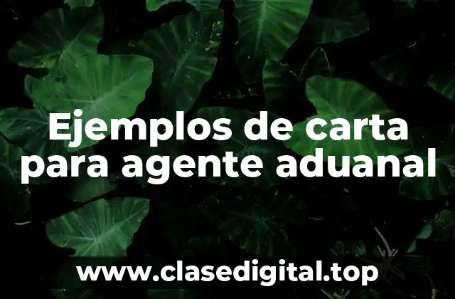 Ejemplos de carta para agente aduanal