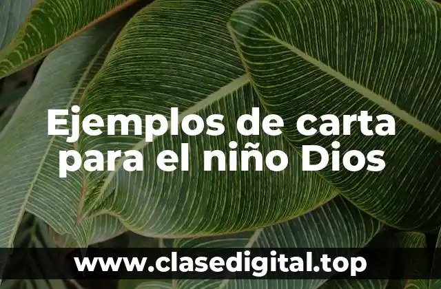 Ejemplos de carta para el niño Dios