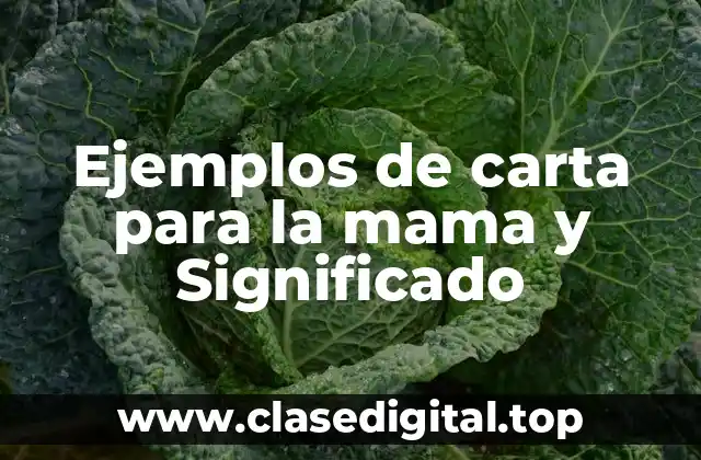 Ejemplos de carta para la mama y Significado