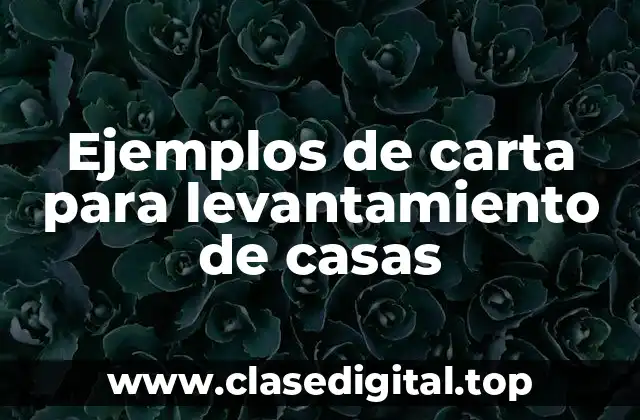 Ejemplos de carta para levantamiento de casas