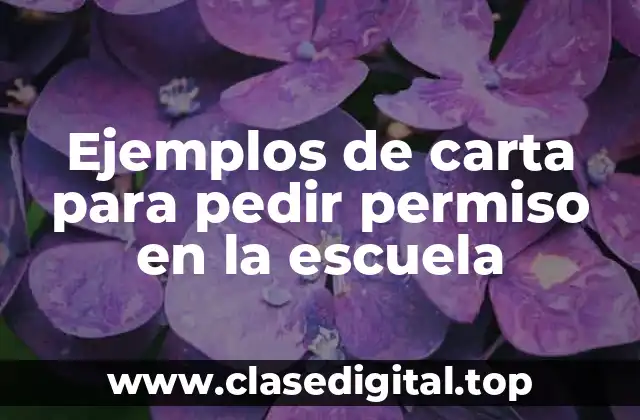 Ejemplos de carta para pedir permiso en la escuela