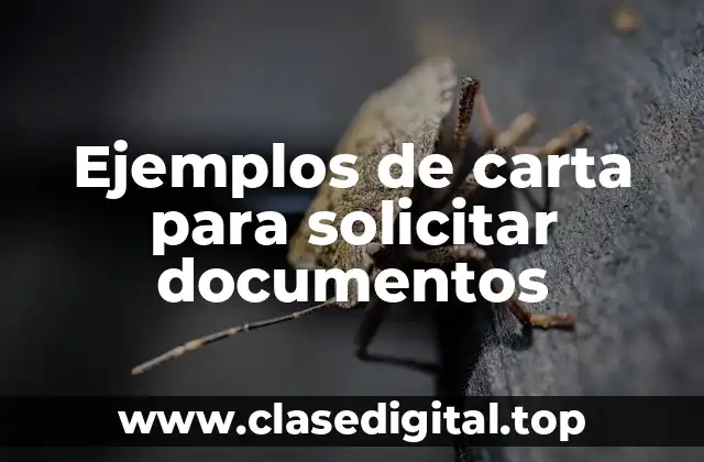 Ejemplos de carta para solicitar documentos