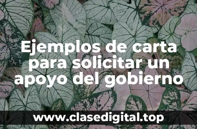 Ejemplos de carta para solicitar un apoyo del gobierno