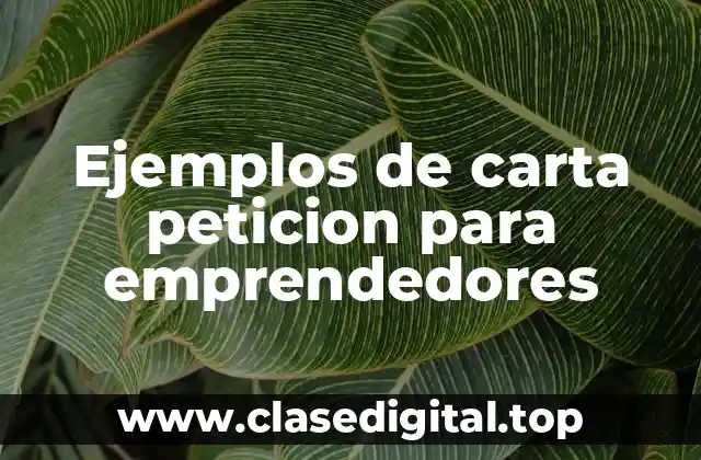 Ejemplos de carta peticion para emprendedores