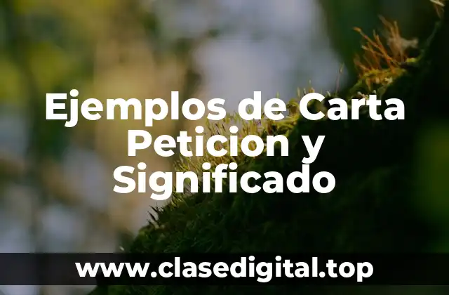 Ejemplos de Carta Peticion y Significado